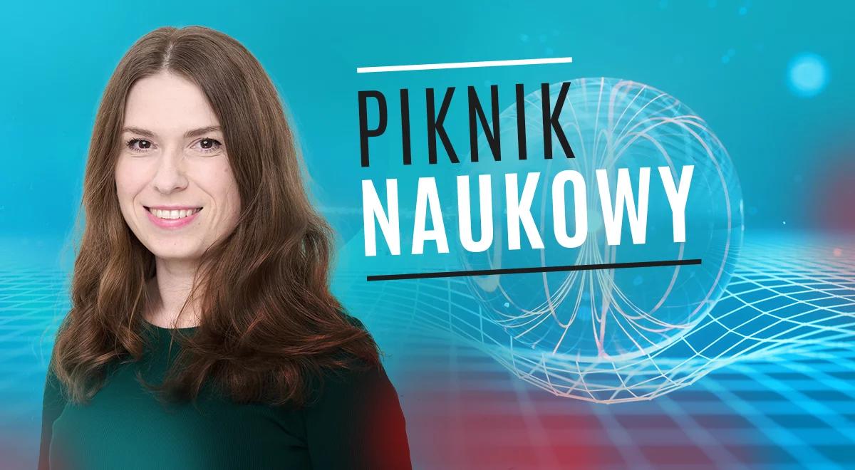 Piknik Naukowy