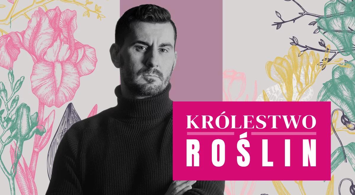 Królestwo Roślin
